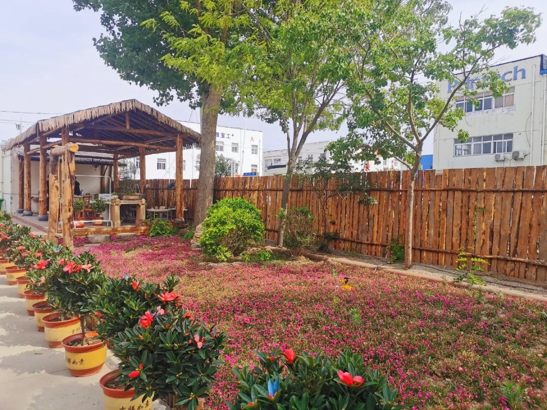 1630392681517112.png 图片11.png