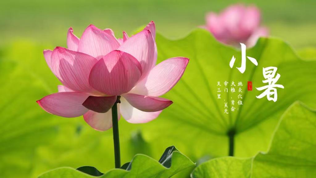 1688708927541597.jpg 微信图片_20230707104112.jpg