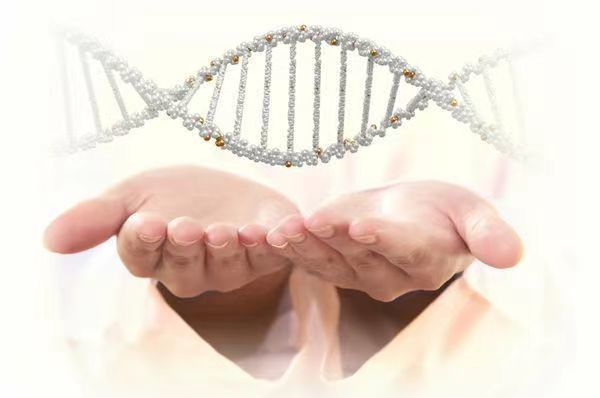 1693387505937060.png 图片8.png